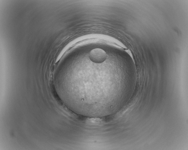 X0000116060137200912041902