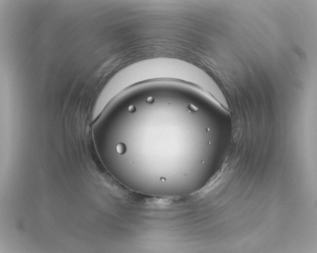 X0000116060140200912041902