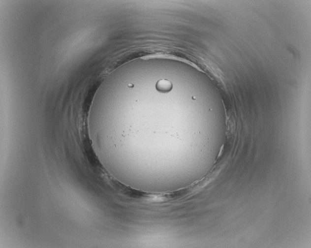 X0000116060141200912041902