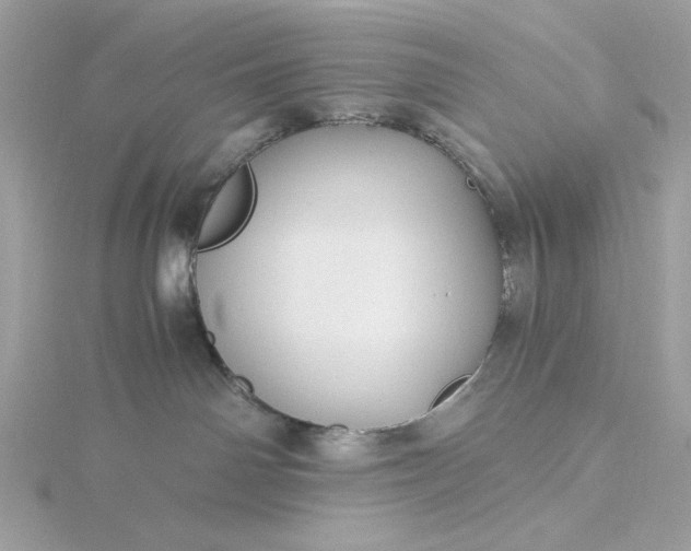 X0000116060142200912041902