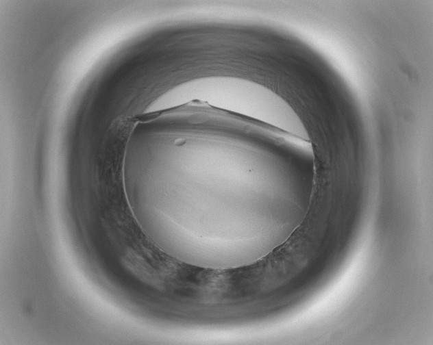 X0000116060143200912041902