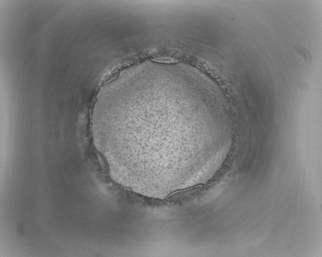 X0000116060144200912041902