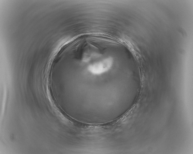 X0000116060145200912041901