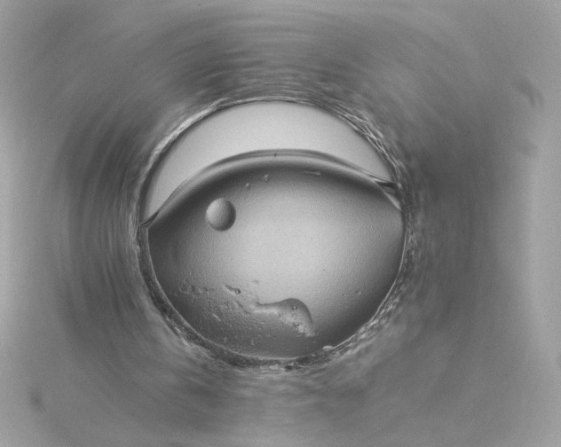 X0000116060146200912041901