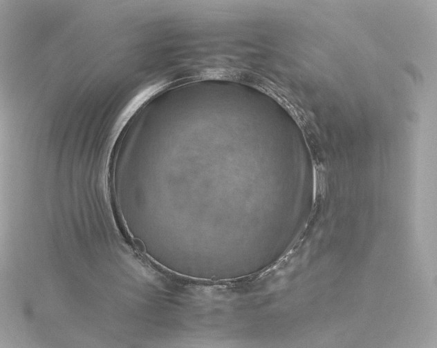 X0000116060147200912041901