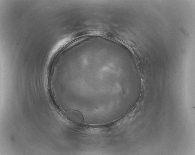 X0000116060149200912041901