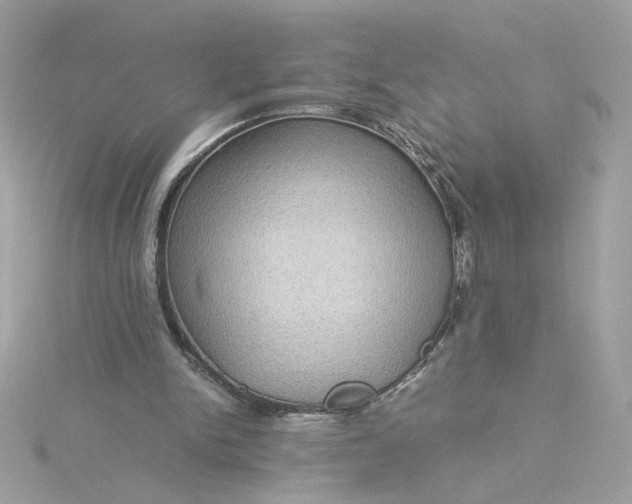 X0000116060150200912041901