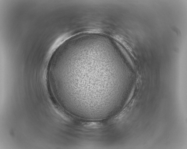 X0000116060151200912041901