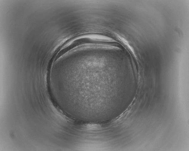 X0000116060154200912041901