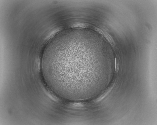 X0000116060157200912041901