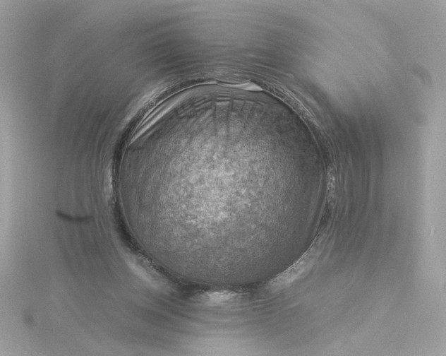 X0000116060158200912041901