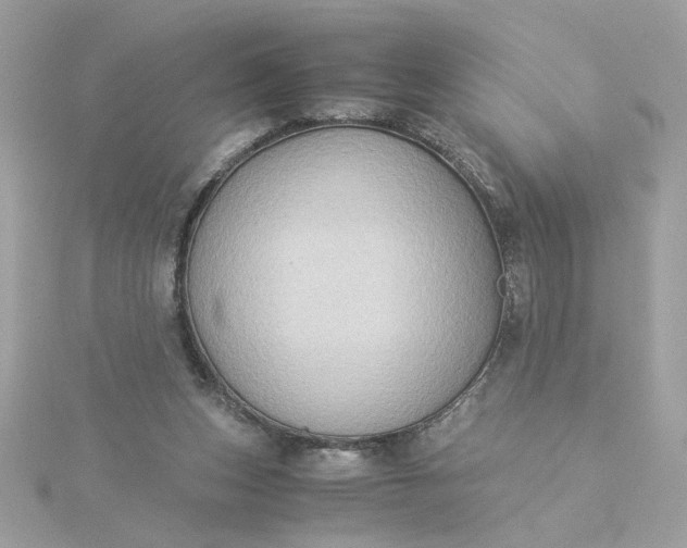 X0000116060159200912041901