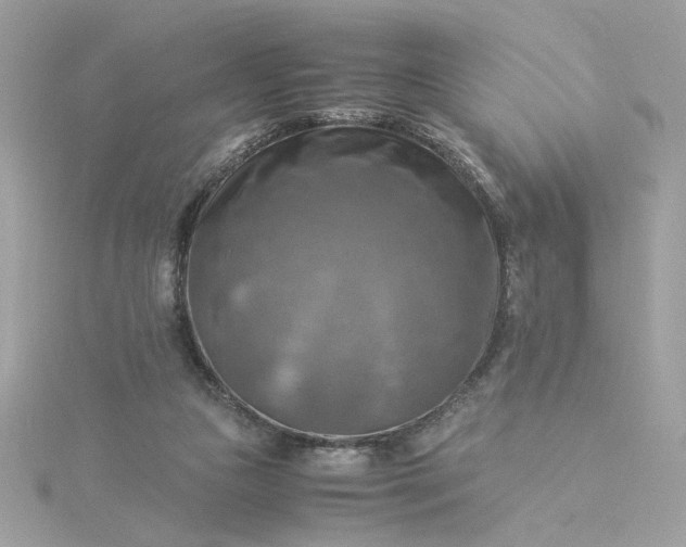 X0000116060161200912041901