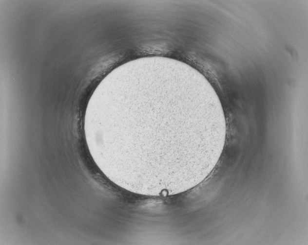 X0000116060162200912041901