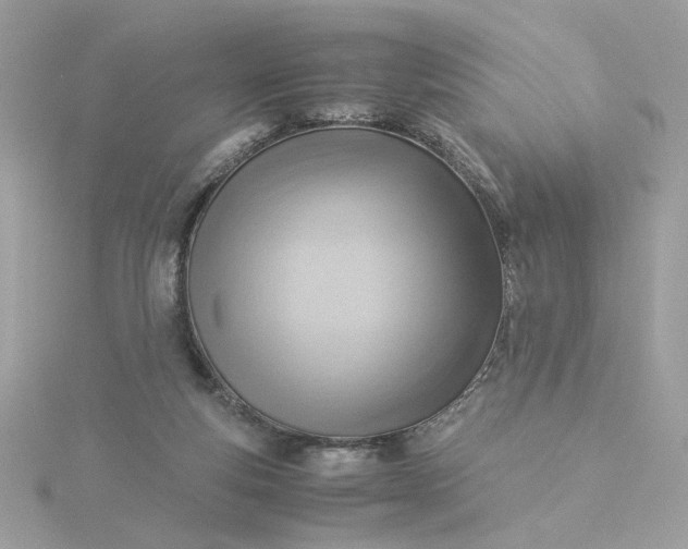 X0000116060163200912041901