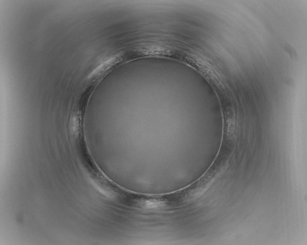 X0000116060165200912041901