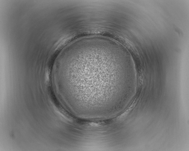 X0000116060166200912041901