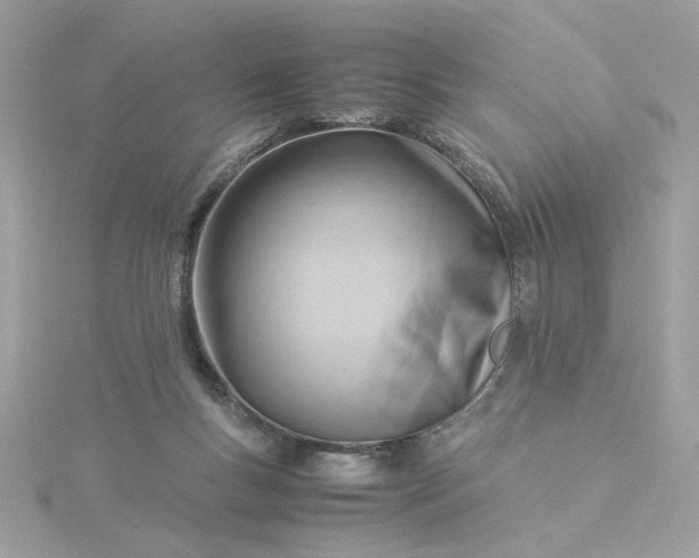 X0000116060167200912041901