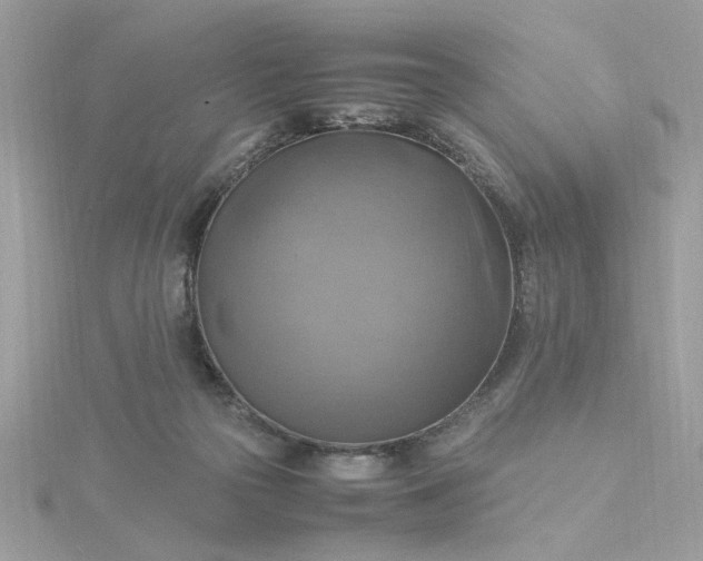 X0000116060169200912041901