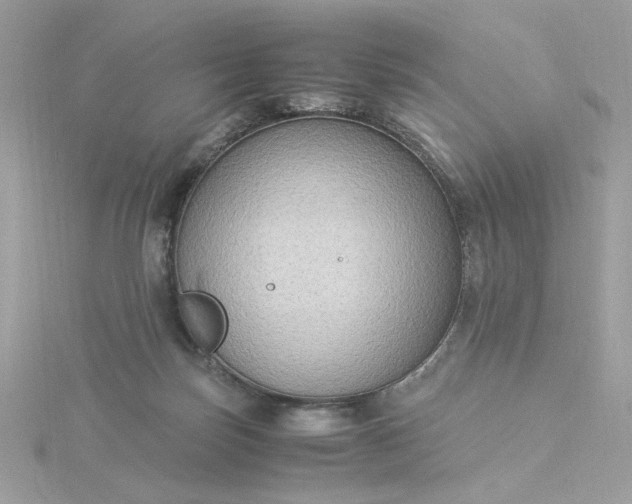 X0000116060171200912041901