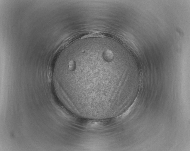 X0000116060174200912041901