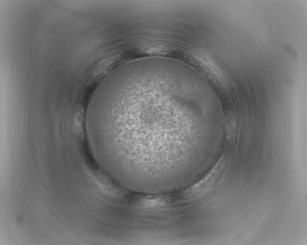 X0000116060175200912041901