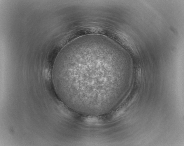 X0000116060177200912041901