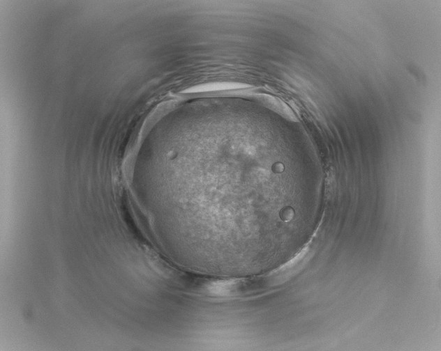 X0000116060178200912041901