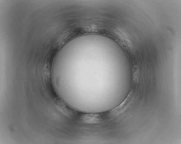 X0000116060179200912041901