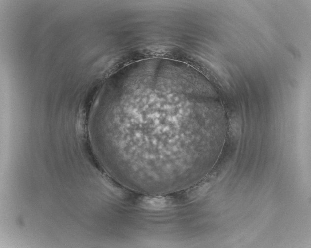 X0000116060181200912041901