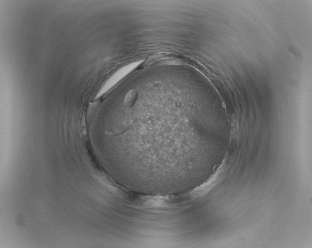 X0000116060182200912041901