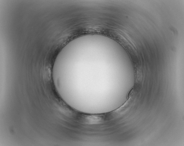 X0000116060183200912041901