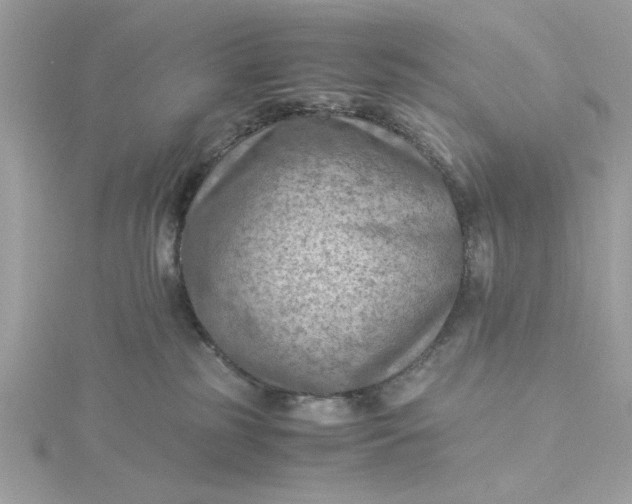 X0000116060185200912041901