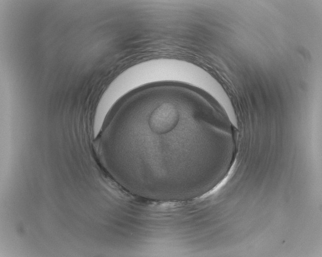 X0000116060186200912041901