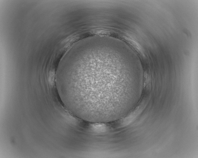 X0000116060189200912041902