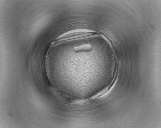 X0000116060190200912041902