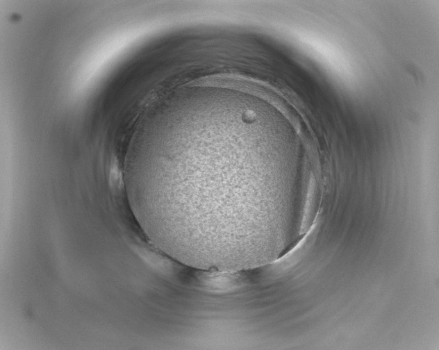 X0000116060191200912041902