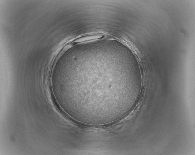 X0000116060193200912041901