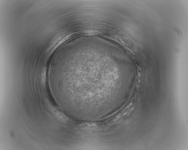 X0000116060194200912041901