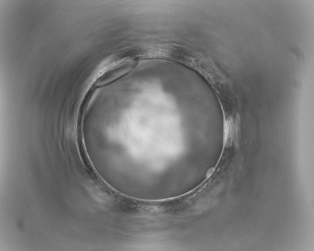 X0000116060195200912041901