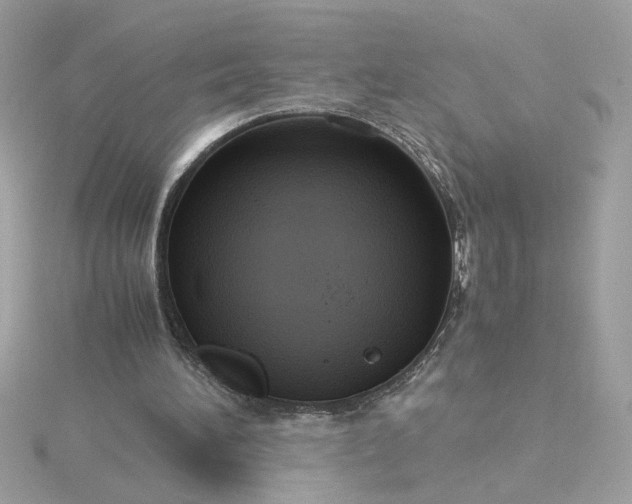 X0000116060196200912041901