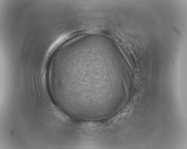 X0000116060197200912041901