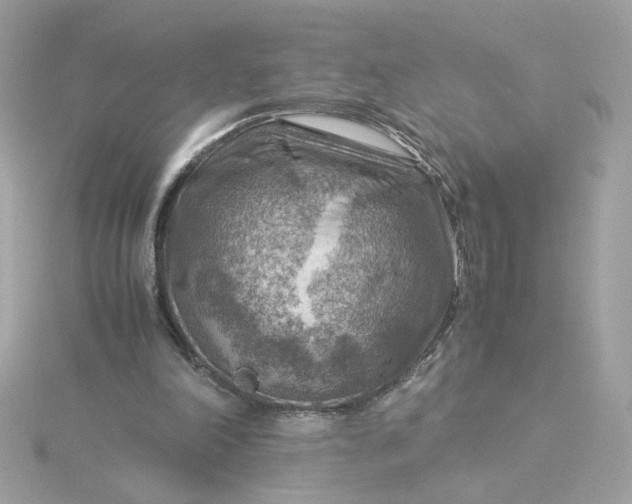 X0000116060198200912041901