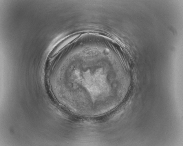 X0000116060199200912041901