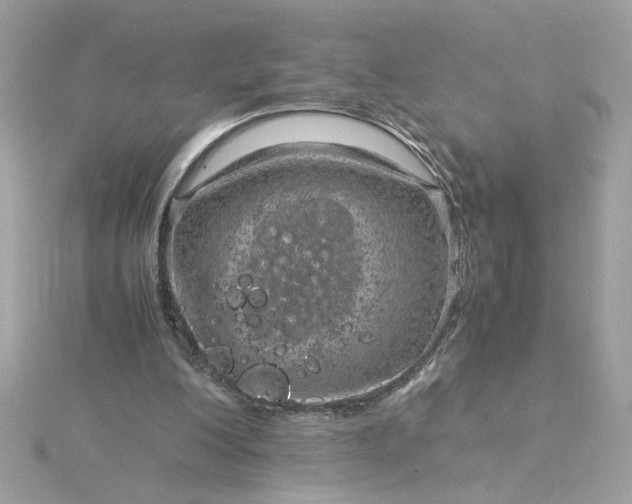 X0000116060200200912041901