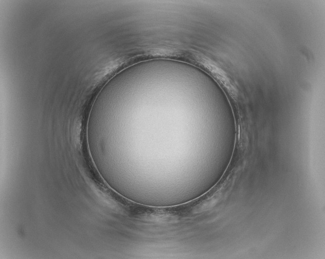 X0000116060201200912041901