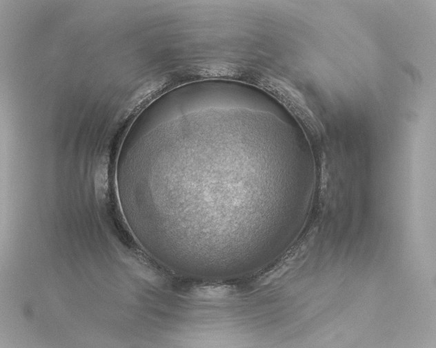 X0000116060202200912041901