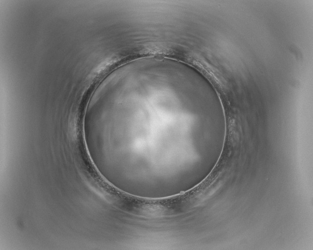 X0000116060203200912041901