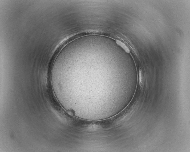 X0000116060204200912041901