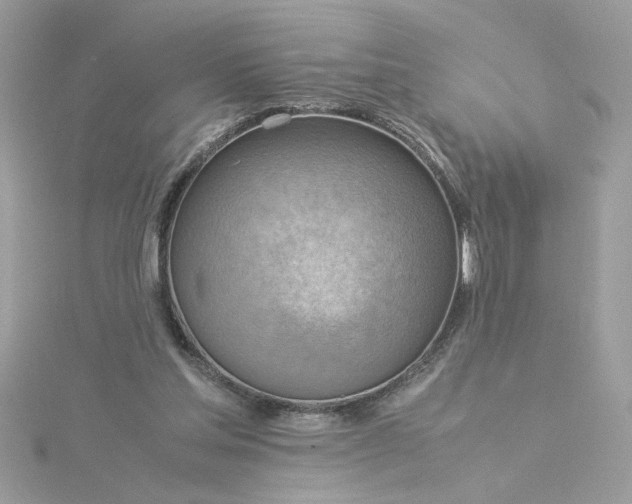 X0000116060205200912041901